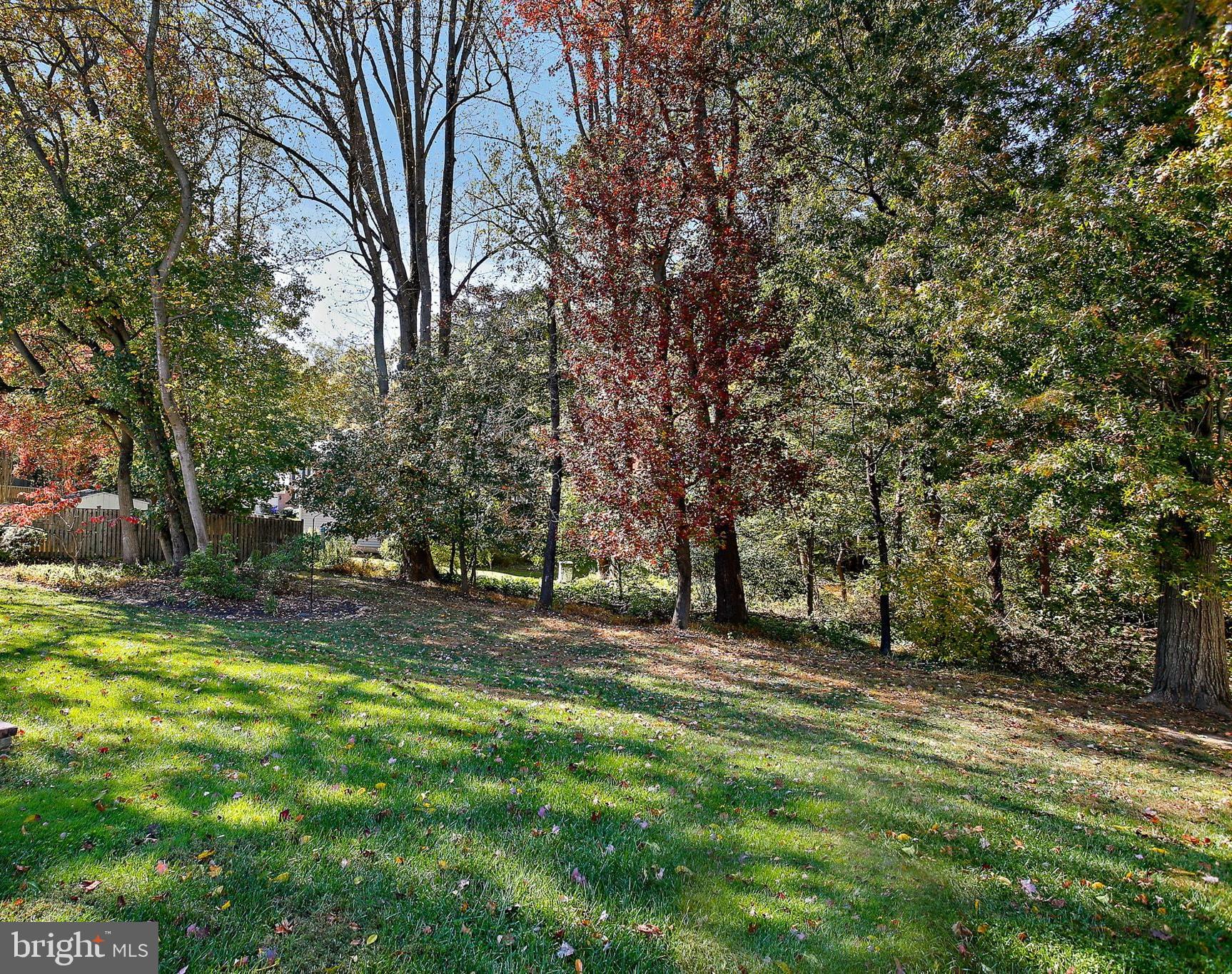8307 Spring Blossom Court Laurel, MD 20723 - Photo 66 of 69 a fire hydrant in the middle of a field