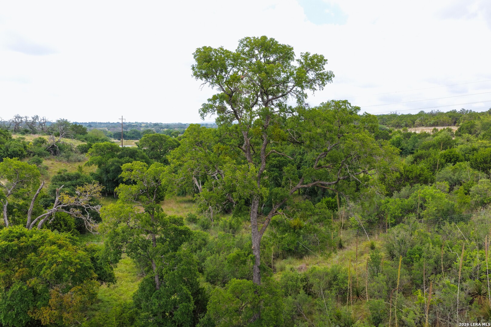 30 Acres /- Peaceful Valley Road Bandera, TX 78003 - Photo 18 of 32