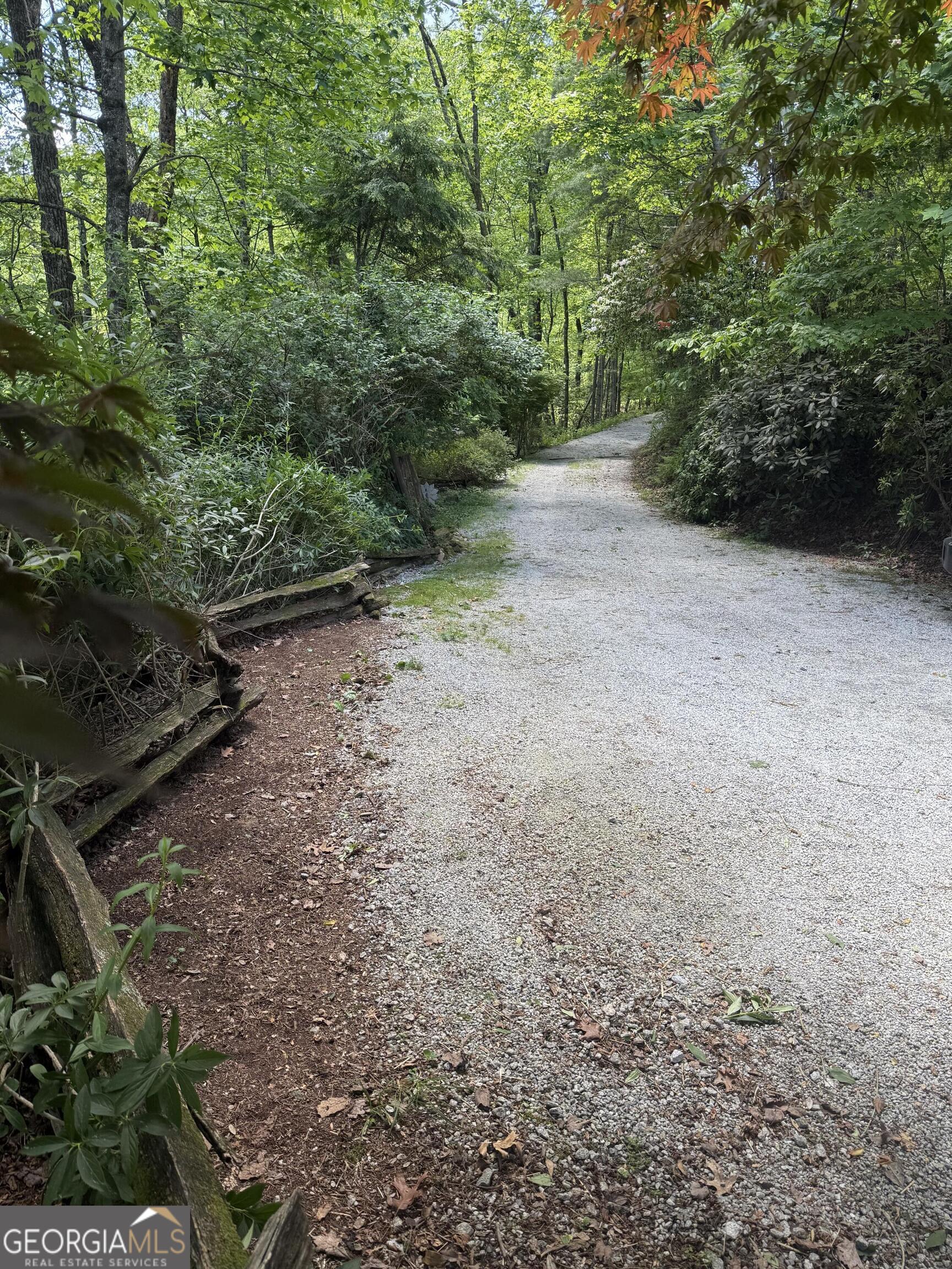 44 Cessna Lane Rabun Gap, GA 30568 - Photo 21 of 27 a view of a yard with plants and a trees