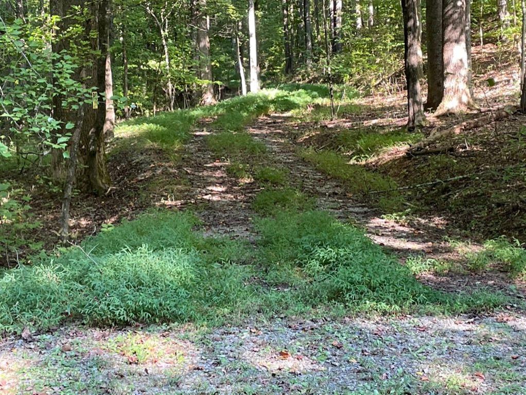 76 Tally Cv Road Jasper, GA 30143 - Photo 15 of 31 a backyard of a house with lots of green space