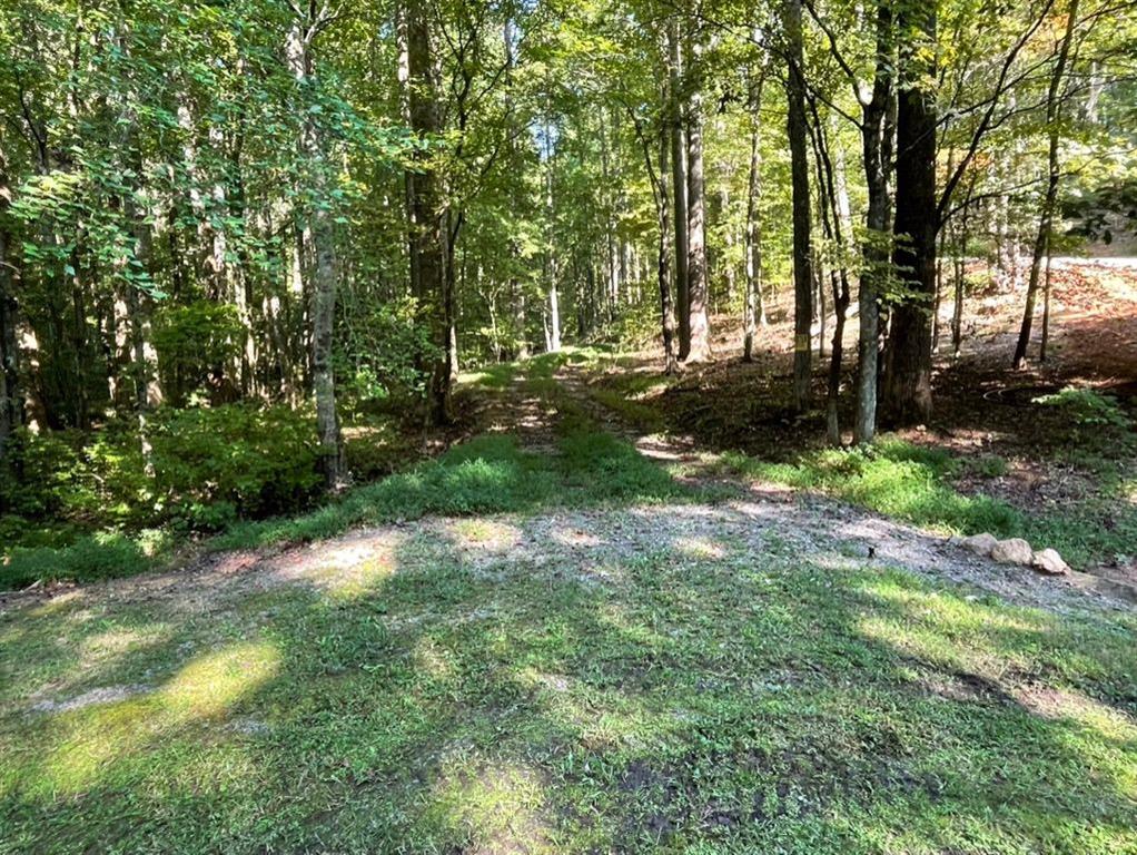 76 Tally Cv Road Jasper, GA 30143 - Photo 16 of 31 a view of outdoor space and yard