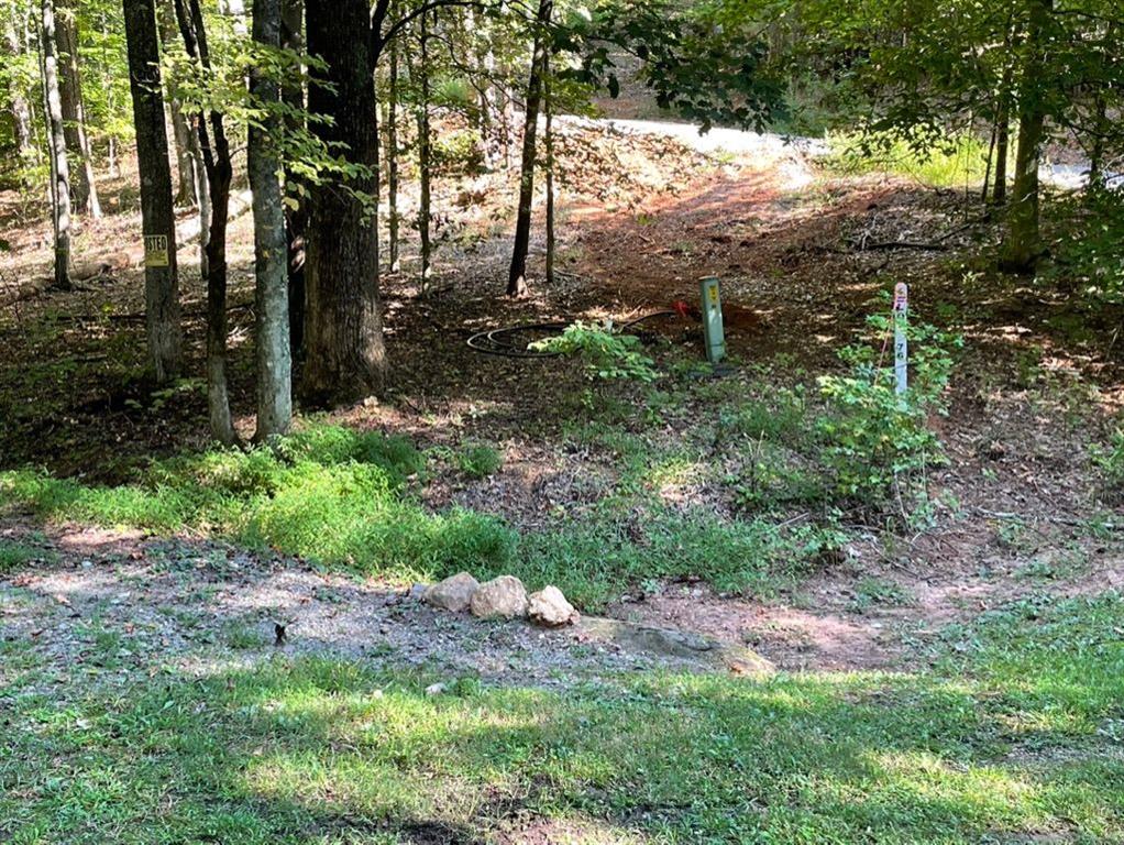 76 Tally Cv Road Jasper, GA 30143 - Photo 17 of 31 a view of a yard with plants and large trees