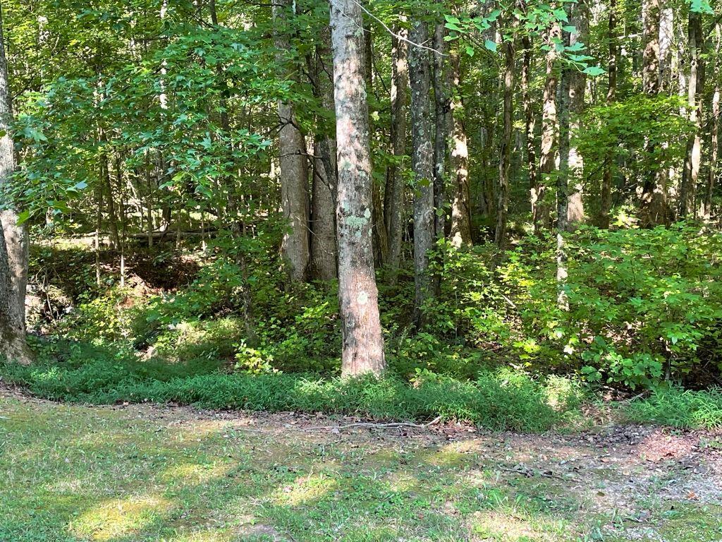 76 Tally Cv Road Jasper, GA 30143 - Photo 18 of 31 a view of outdoor space and yard