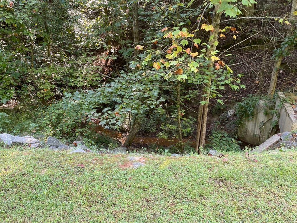 76 Tally Cv Road Jasper, GA 30143 - Photo 21 of 31 a view of a yard with a tree