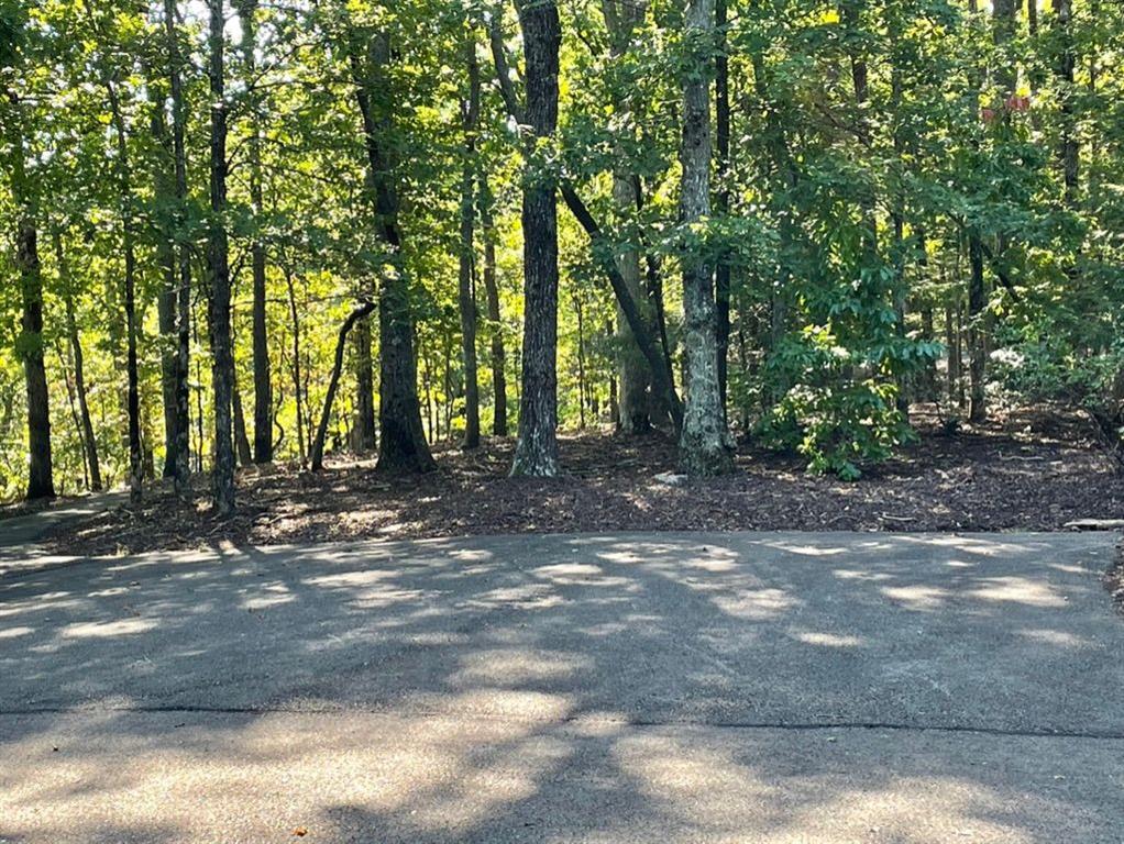 76 Tally Cv Road Jasper, GA 30143 - Photo 23 of 31 a view of a forest with trees