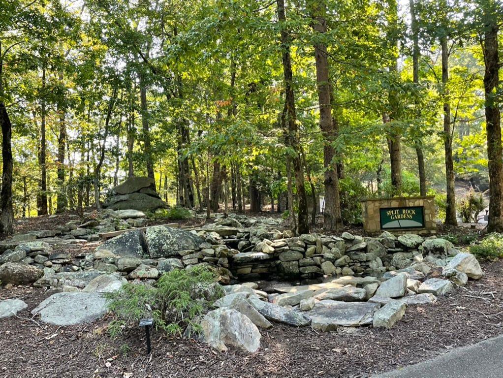 76 Tally Cv Road Jasper, GA 30143 - Photo 26 of 31 a view of a forest with lawn chairs