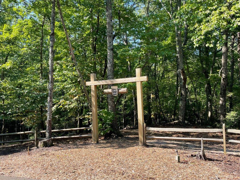 76 Tally Cv Road Jasper, GA 30143 - Photo 27 of 31 a view of outdoor space with deck and trees