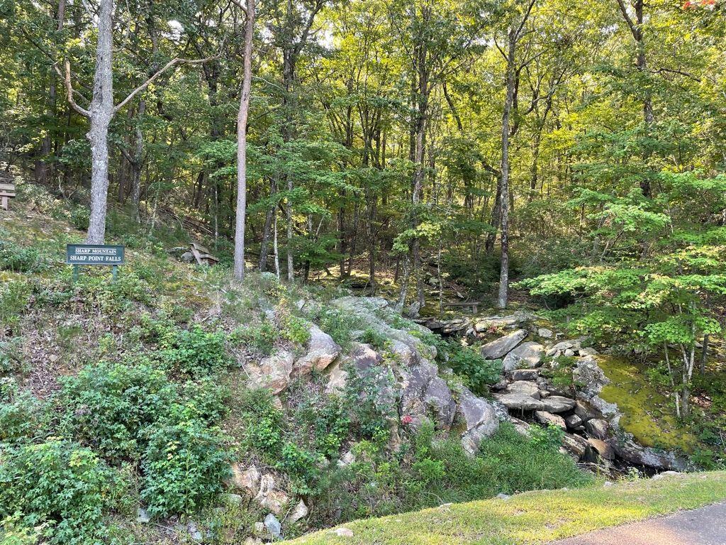 76 Tally Cv Road Jasper, GA 30143 - Photo 28 of 31 a view of forest