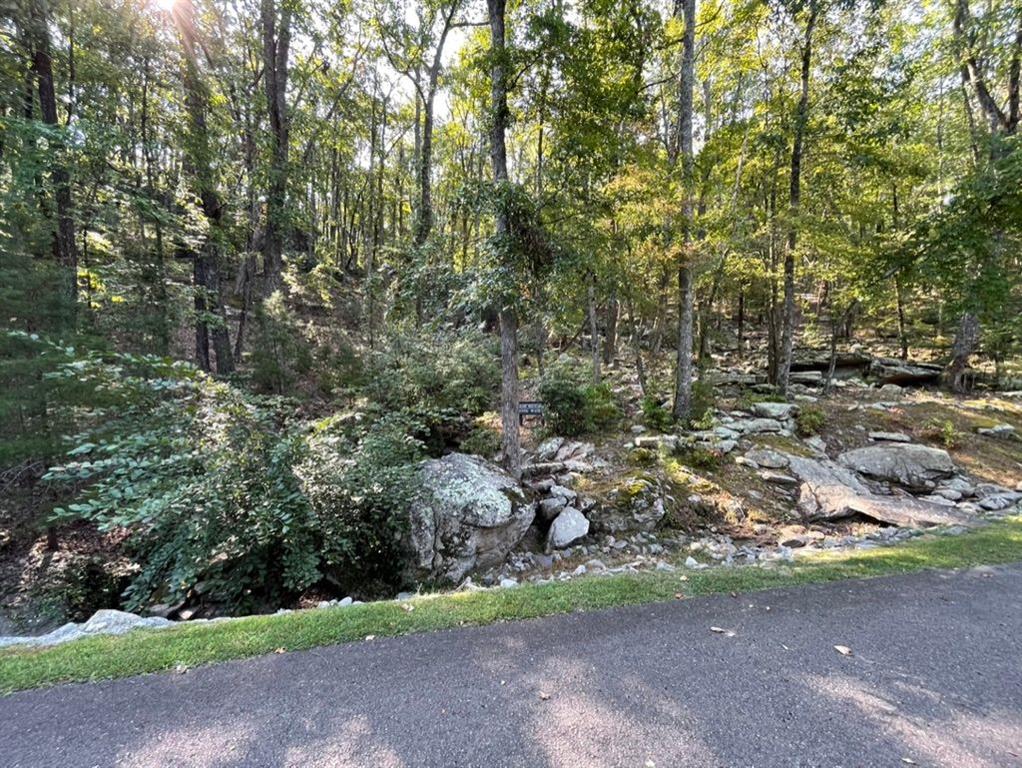 76 Tally Cv Road Jasper, GA 30143 - Photo 29 of 31 a view of a street with a tree