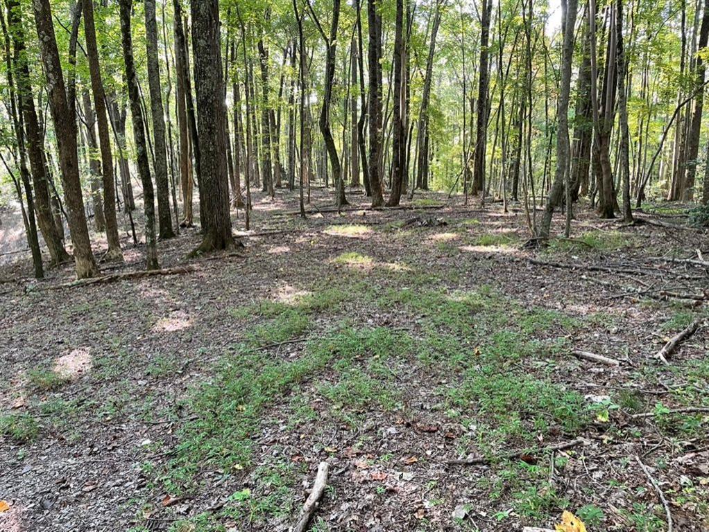 76 Tally Cv Road Jasper, GA 30143 - Photo 6 of 31 a view of outdoor space with deck and yard
