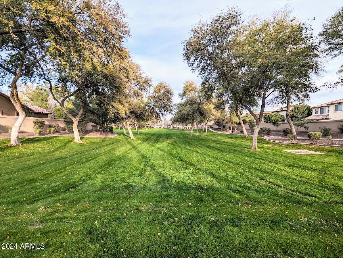 853 West Elgin Street Chandler, AZ 85225 - Photo 64 of 66 Campo Verde greenbelt