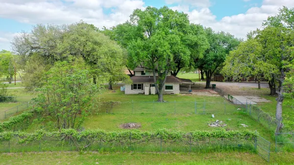 a view of a yard with plants