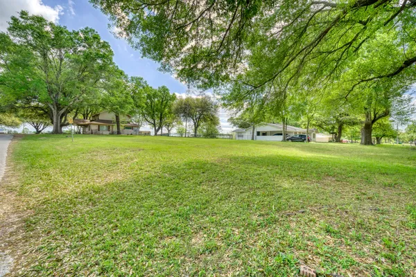 a view of a field with a tree in the background