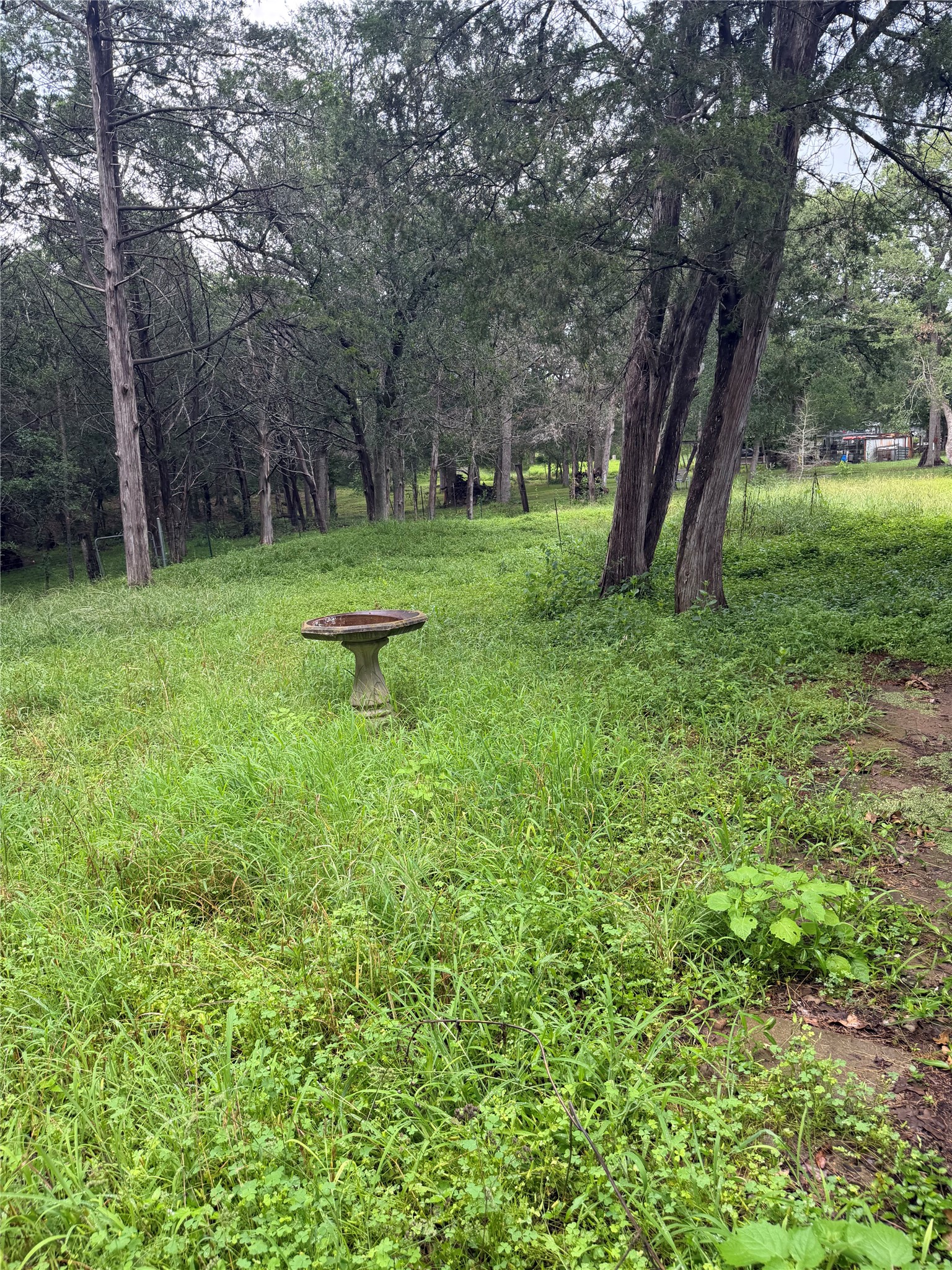 214 The Forest Road Dale, TX 78616 - Photo 14 of 18 A verdant, well-treed lot offers a peaceful, natural setting.