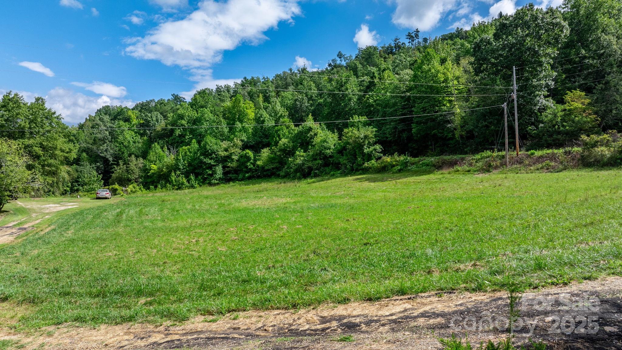 1147 Old Linville Road Marion, NC 28752 - Photo 6 of 27 a view of a green yard