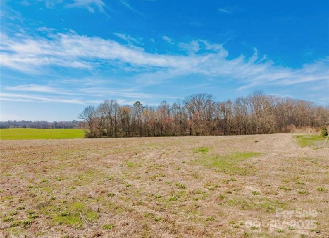 4 Faulks Church Road Wingate, NC 28174 - Photo 14 of 21 a view of a swimming pool and trees