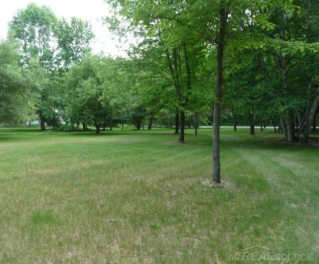 3776 Breen Road Emmett, MI 48022 - Photo 5 of 34 Front field