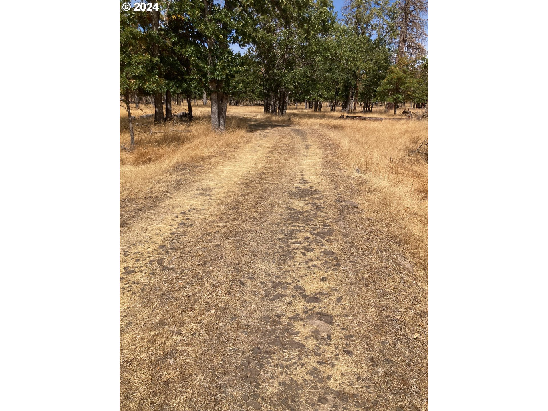 86 Meacham Road Goldendale, WA 98620 - Photo 22 of 26
