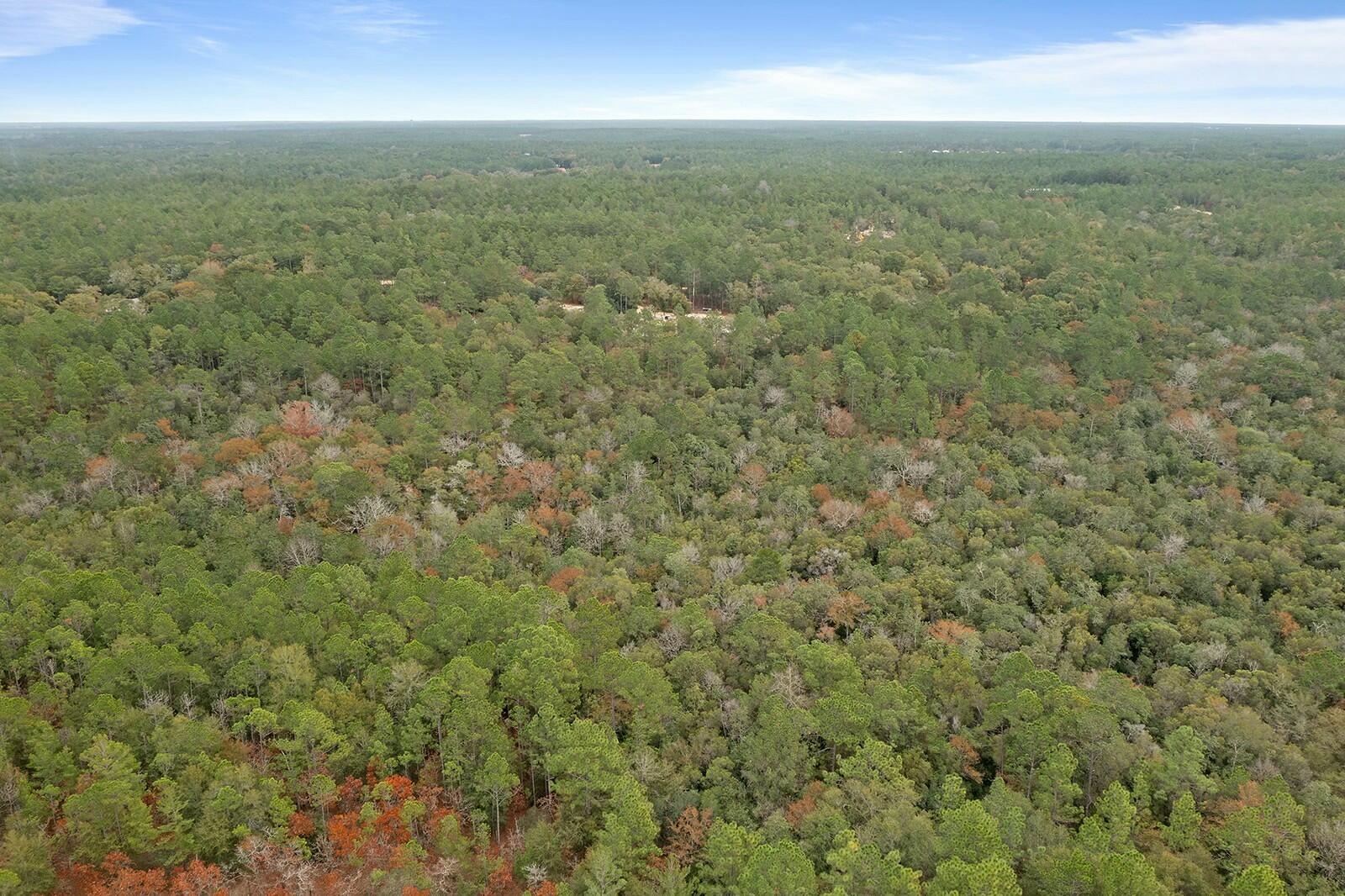 5412 Stallion Drive Crestview, FL 32539 - Photo 37 of 41 tempImagebUis35