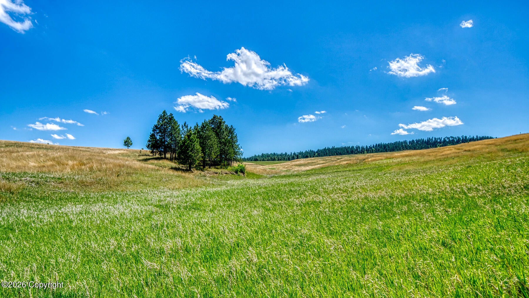11 Morning Glory Road Hulett, WY 82720 - Photo 43 of 53 Gallery Image 43