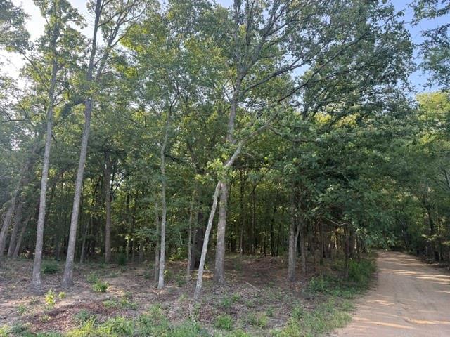 57 Private Road Blossom, TX 75416 - Photo 4 of 5
