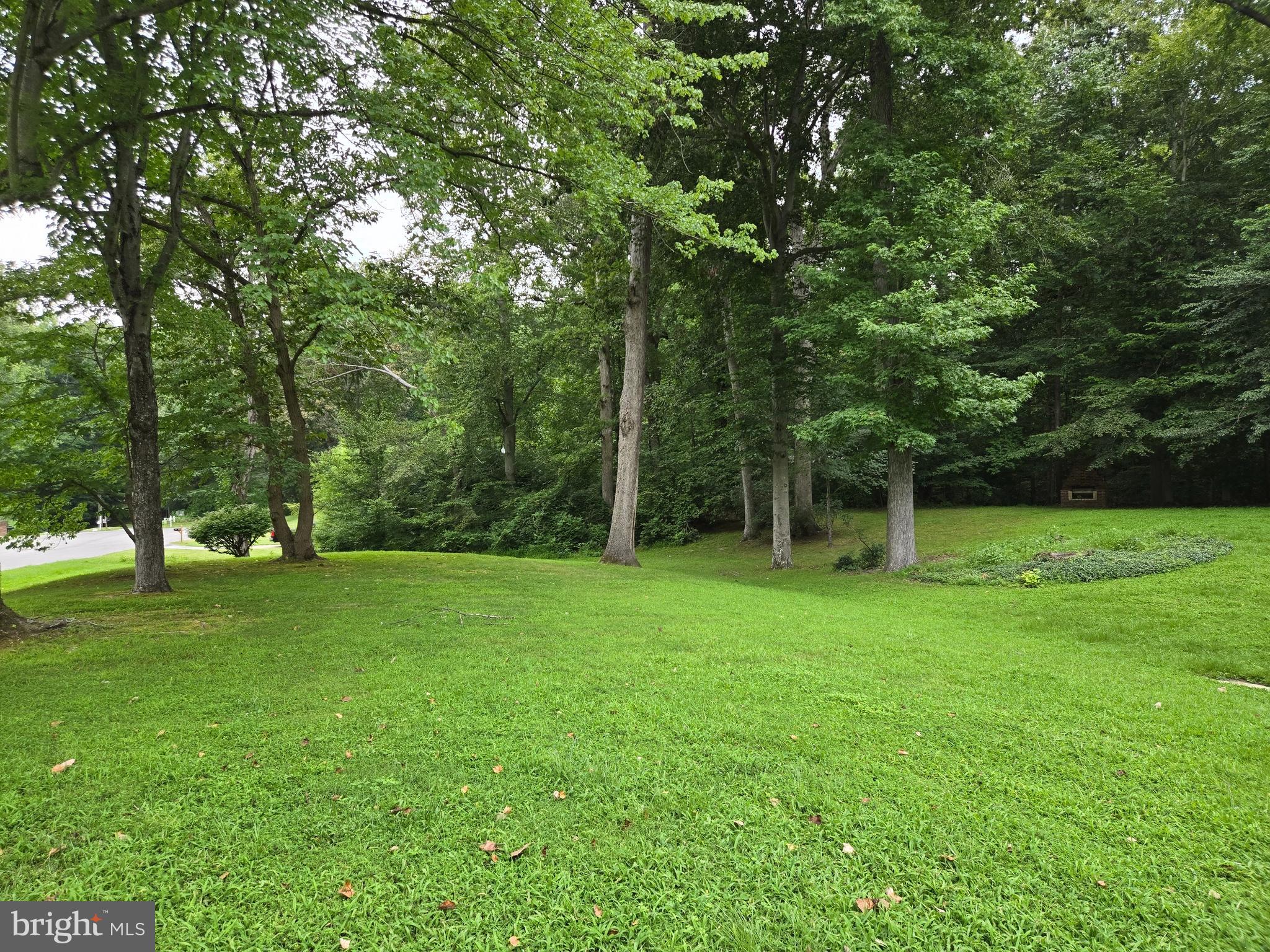 3908 Lakeside Court Dunkirk, MD 20754 - Photo 18 of 22 a view of a tree in a yard