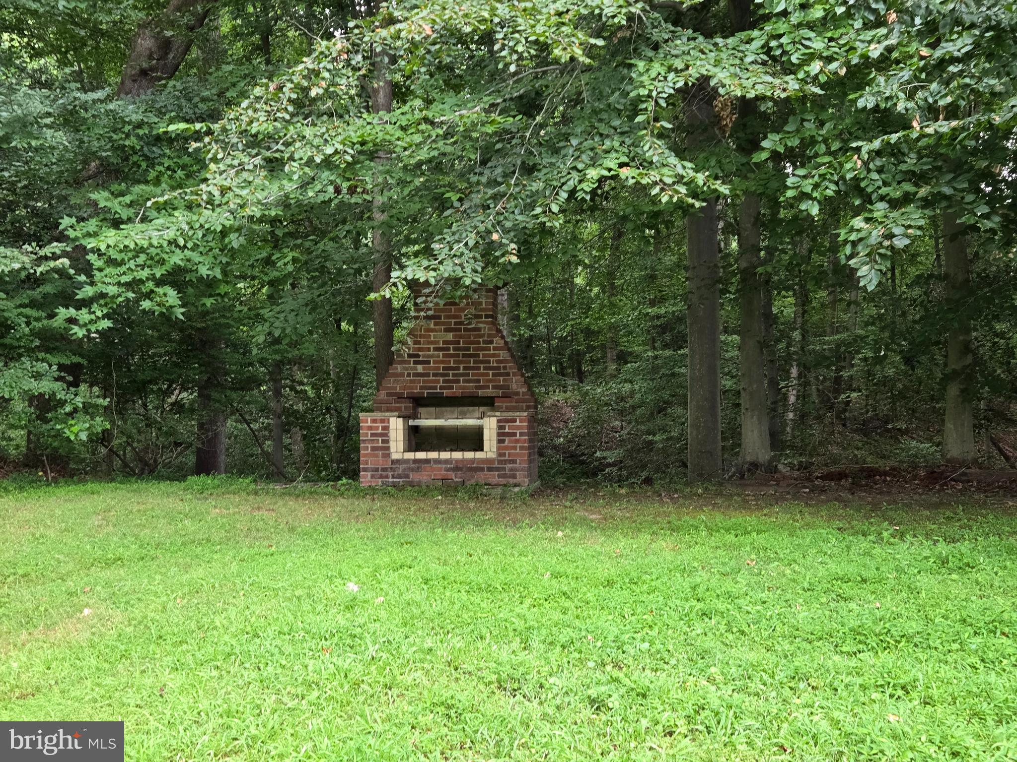 3908 Lakeside Court Dunkirk, MD 20754 - Photo 4 of 22 a view of a backyard with a trees