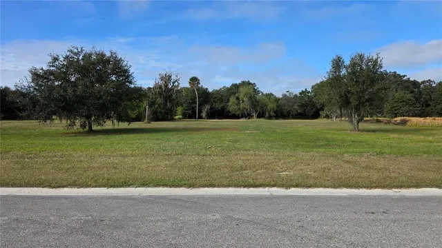 $250,000 | 15311 Fishhawk Heights Road, Lithia, FL 33547