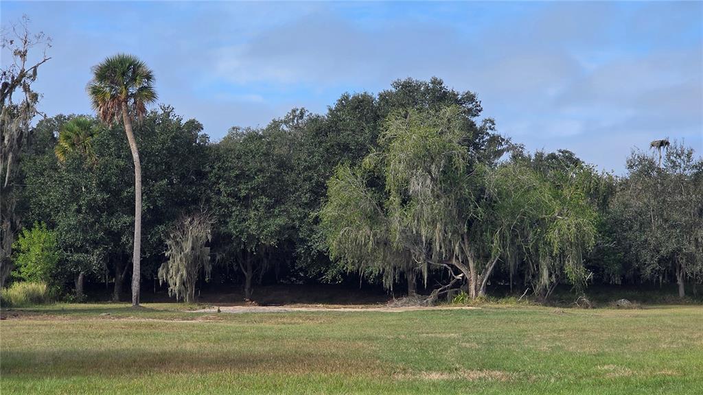 15311 Fishhawk Heights Road Lithia, FL 33547 - Photo 2 of 6