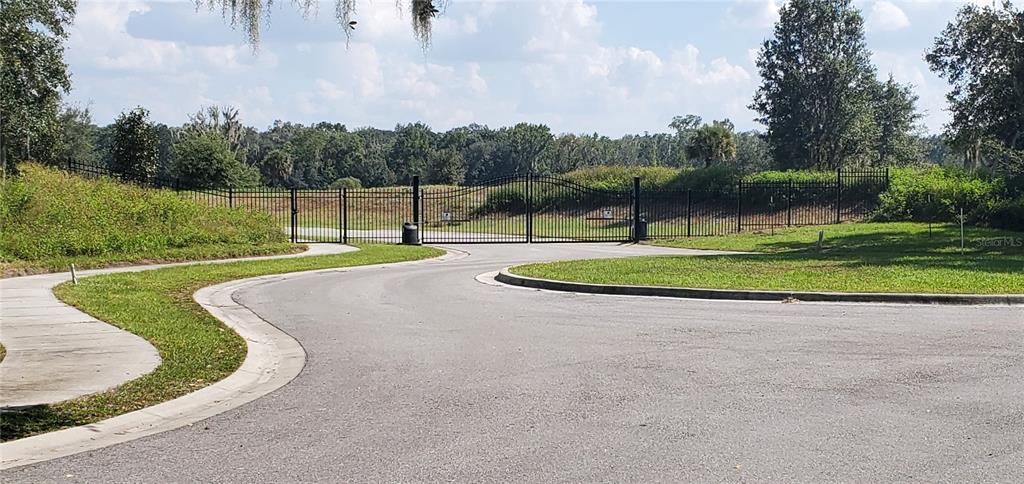 15311 Fishhawk Heights Road Lithia, FL 33547 - Photo 3 of 6