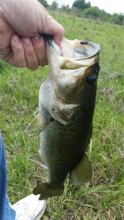 $235,000 | 15311 Fishhawk Heights Road, Lithia, FL 33547