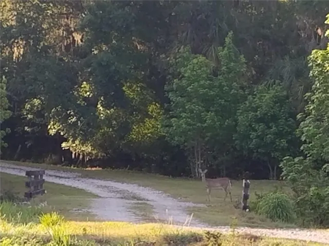 $250,000 | 15311 Fishhawk Heights Road, Lithia, FL 33547