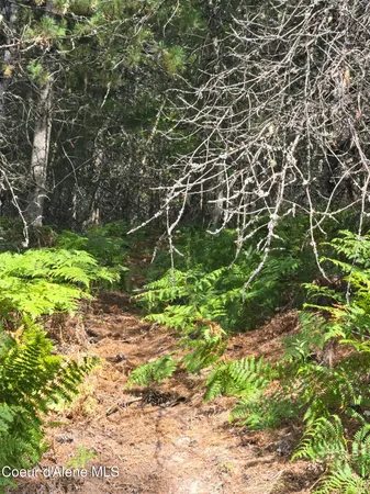 $699,000 | 51833 Silver Valley Road, Kellogg, ID 83837