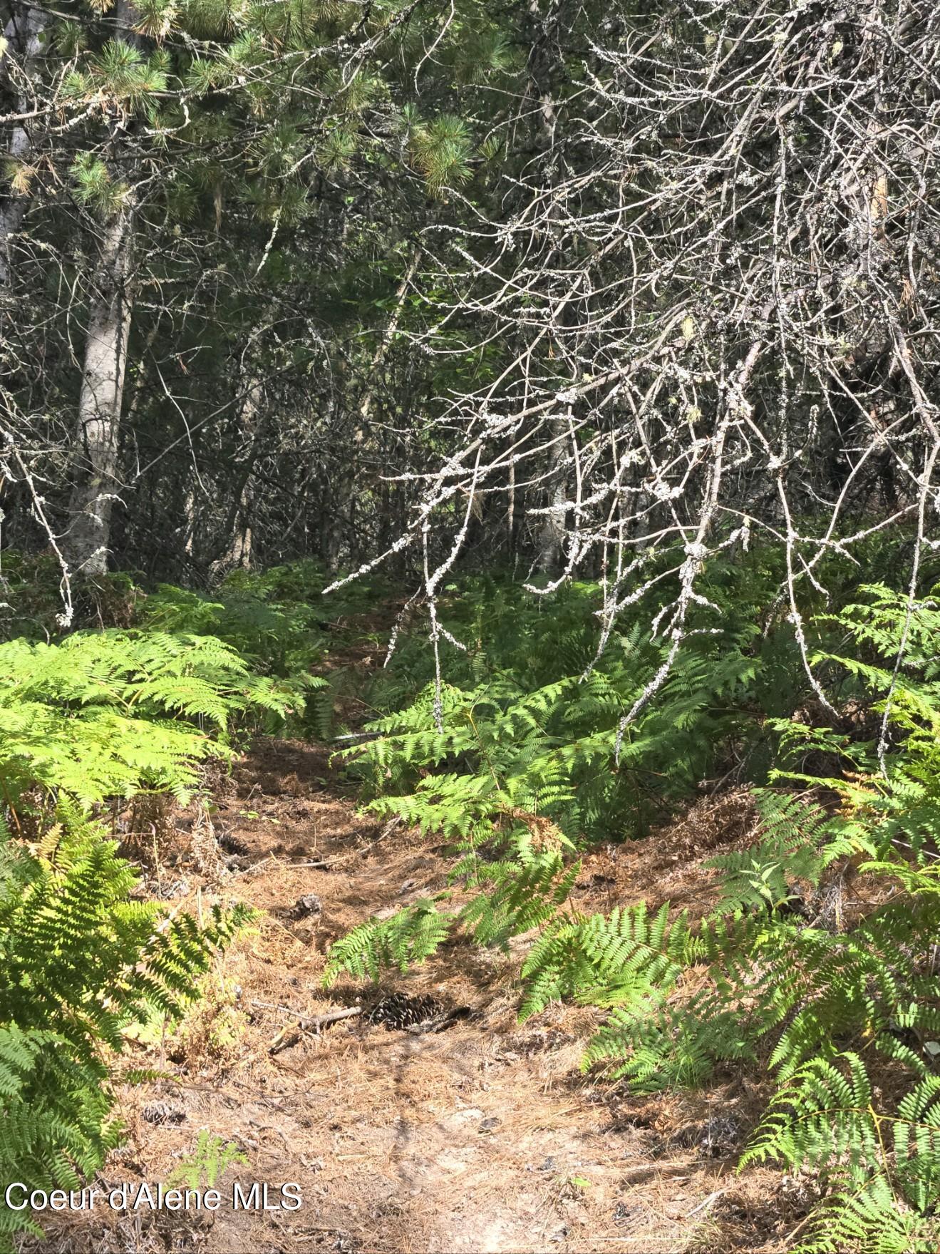 51833 Silver Valley Road Kellogg, ID 83837 - Photo 10 of 27 12-4436