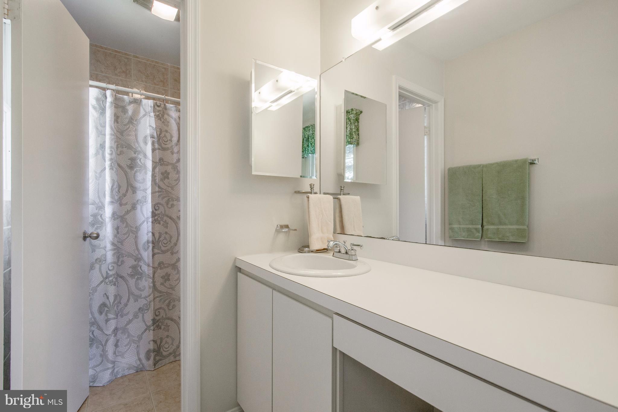26809 Haines Road Clarksburg, MD 20871 - Photo 15 of 30 Master Bath