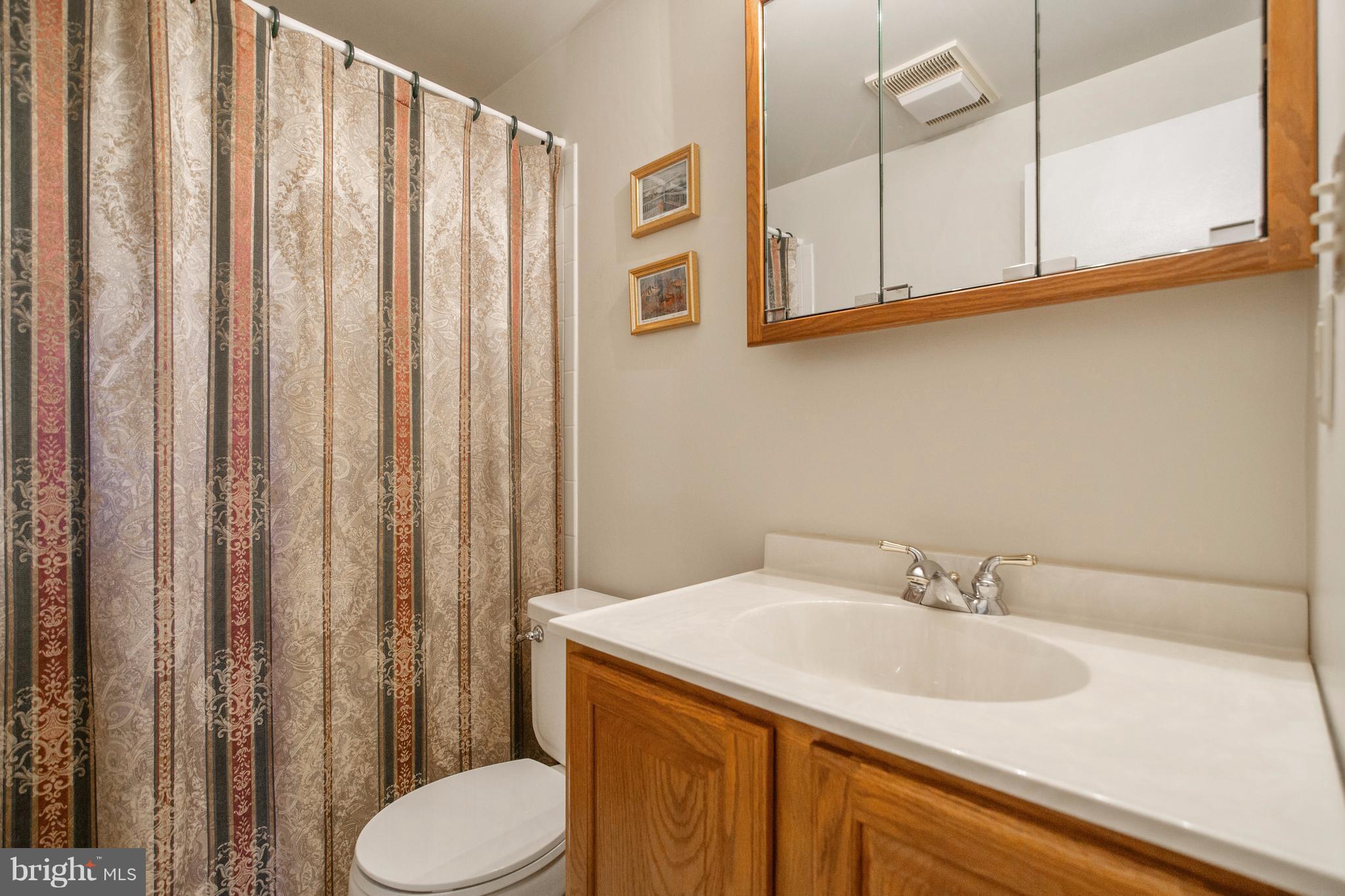 26809 Haines Road Clarksburg, MD 20871 - Photo 21 of 30 Lower Level Full Bath
