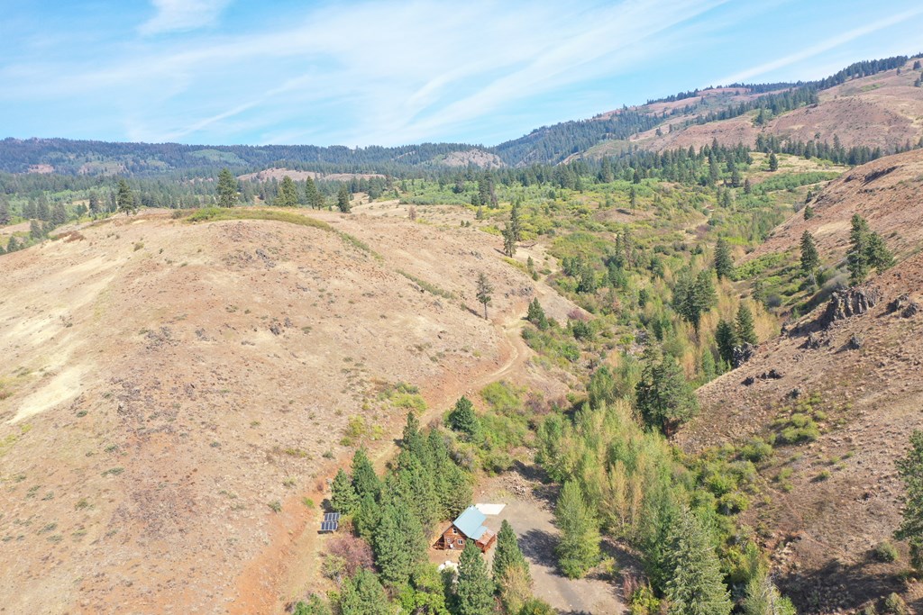 1420 Goodrich Creek Road Council, ID 83612 - Photo 9 of 25