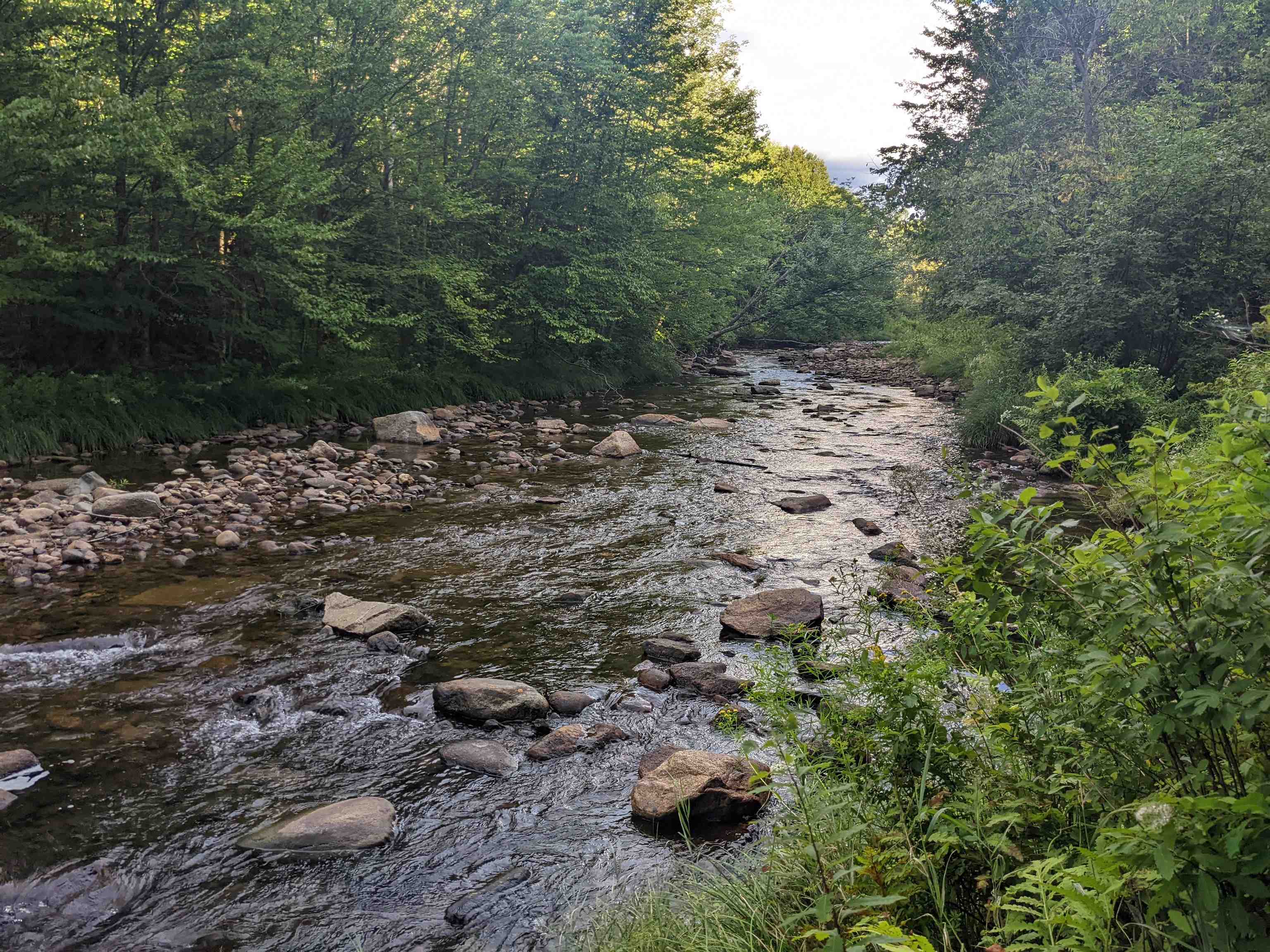 323 Israels River Road Jefferson, NH 03583 - Photo 2 of 15 Gallery Image 2