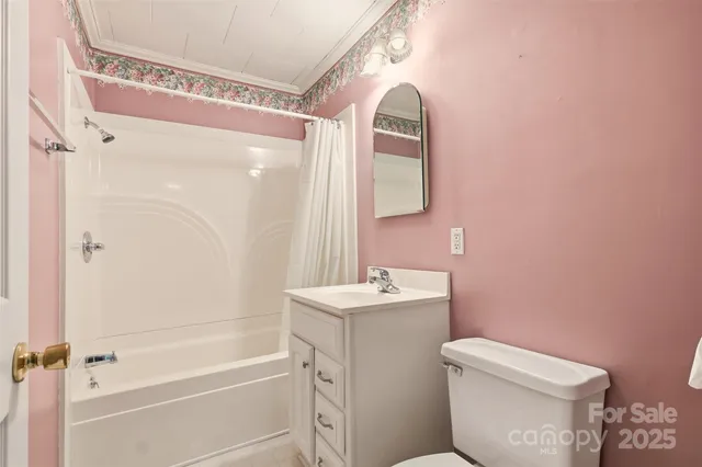 a bathroom with a sink a toilet a mirror and vanity