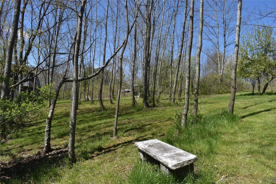 233 Springsteen Road Windsor, NY 13865 - Photo 11 of 35 Gallery Image 11