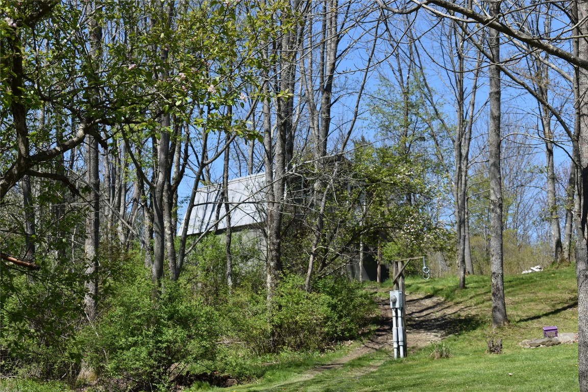 233 Springsteen Road Windsor, NY 13865 - Photo 2 of 35 Gallery Image 2