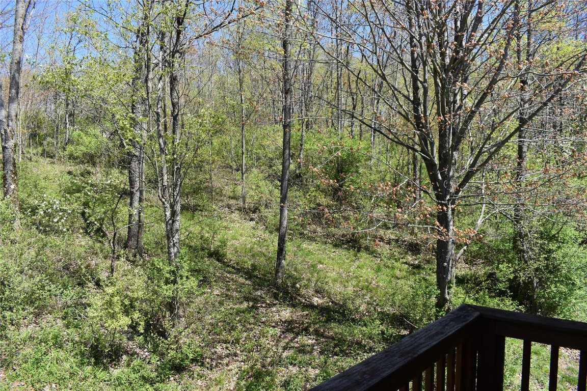 233 Springsteen Road Windsor, NY 13865 - Photo 30 of 35 Gallery Image 30