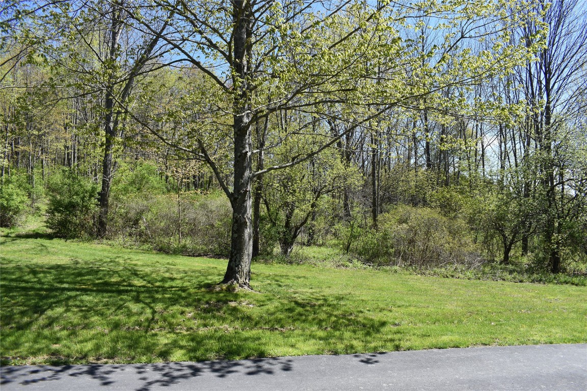 233 Springsteen Road Windsor, NY 13865 - Photo 3 of 35 Gallery Image 3
