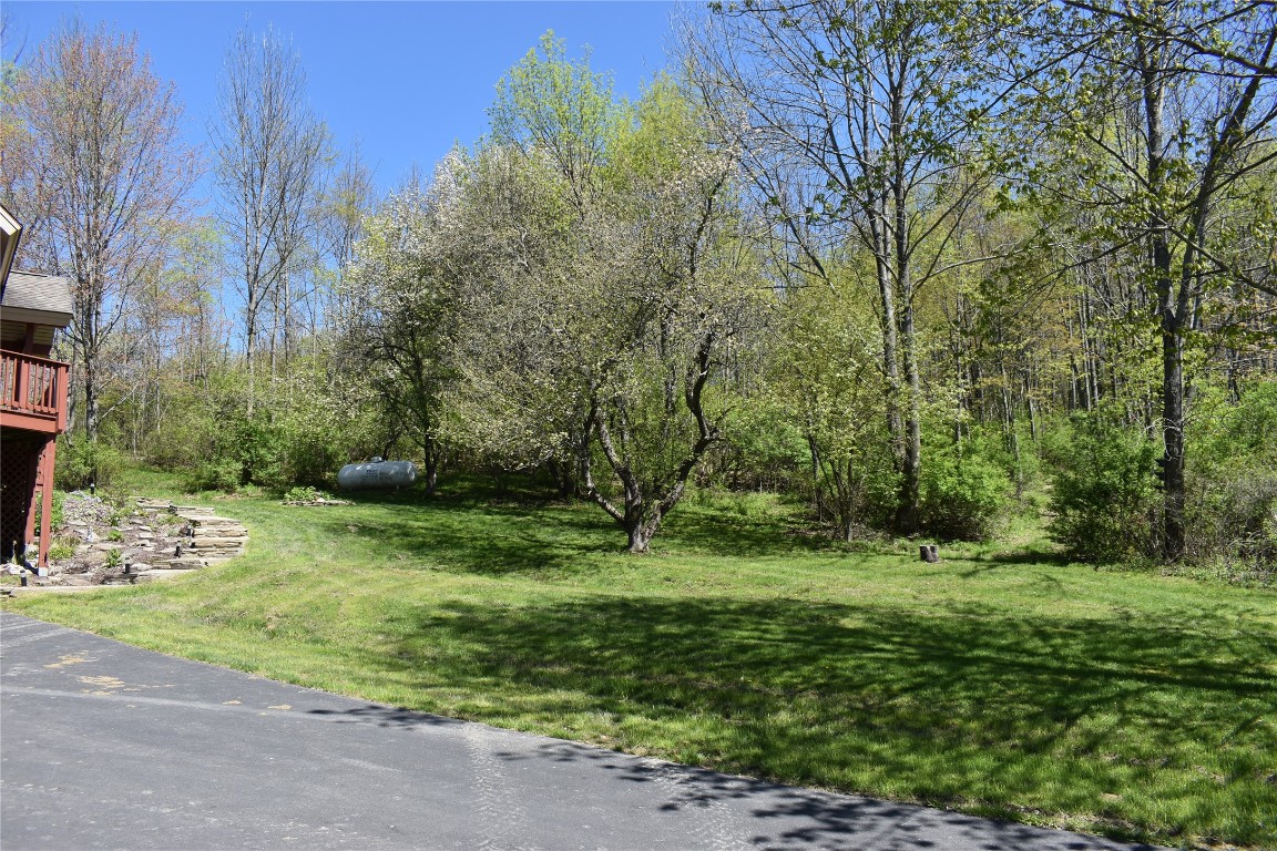 233 Springsteen Road Windsor, NY 13865 - Photo 4 of 35 Gallery Image 4