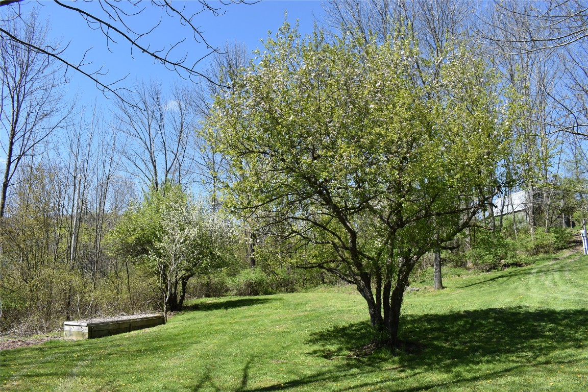 233 Springsteen Road Windsor, NY 13865 - Photo 5 of 35 Gallery Image 5