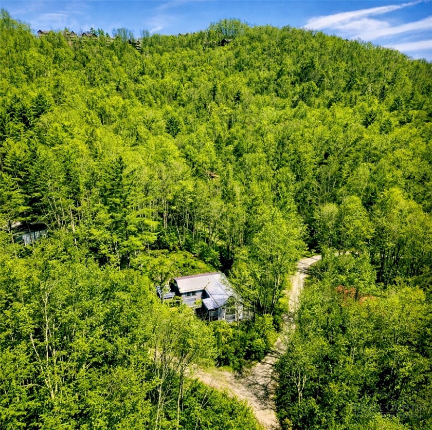 913 Winterberry Trail Boone, NC 28607 - Photo 43 of 43