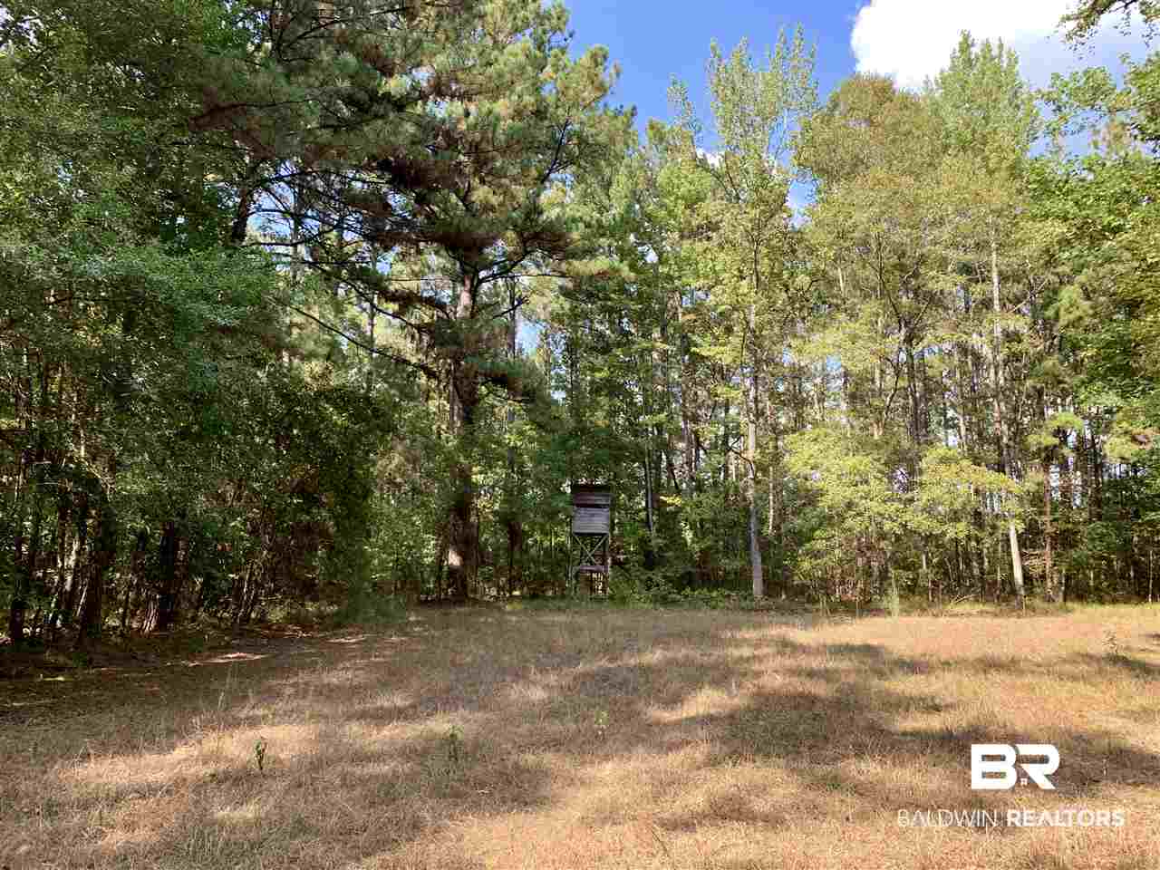 0 Holly Creek Road Stockton, AL 36579 - Photo 48 of 50