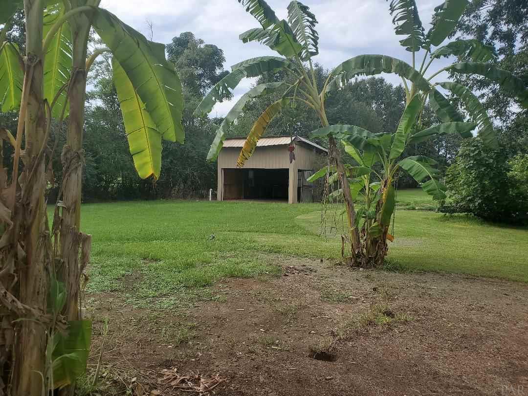 1500 Bet Raines Road Molino, FL 32577 - Photo 31 of 35