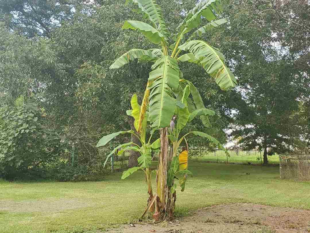 1500 Bet Raines Road Molino, FL 32577 - Photo 33 of 35