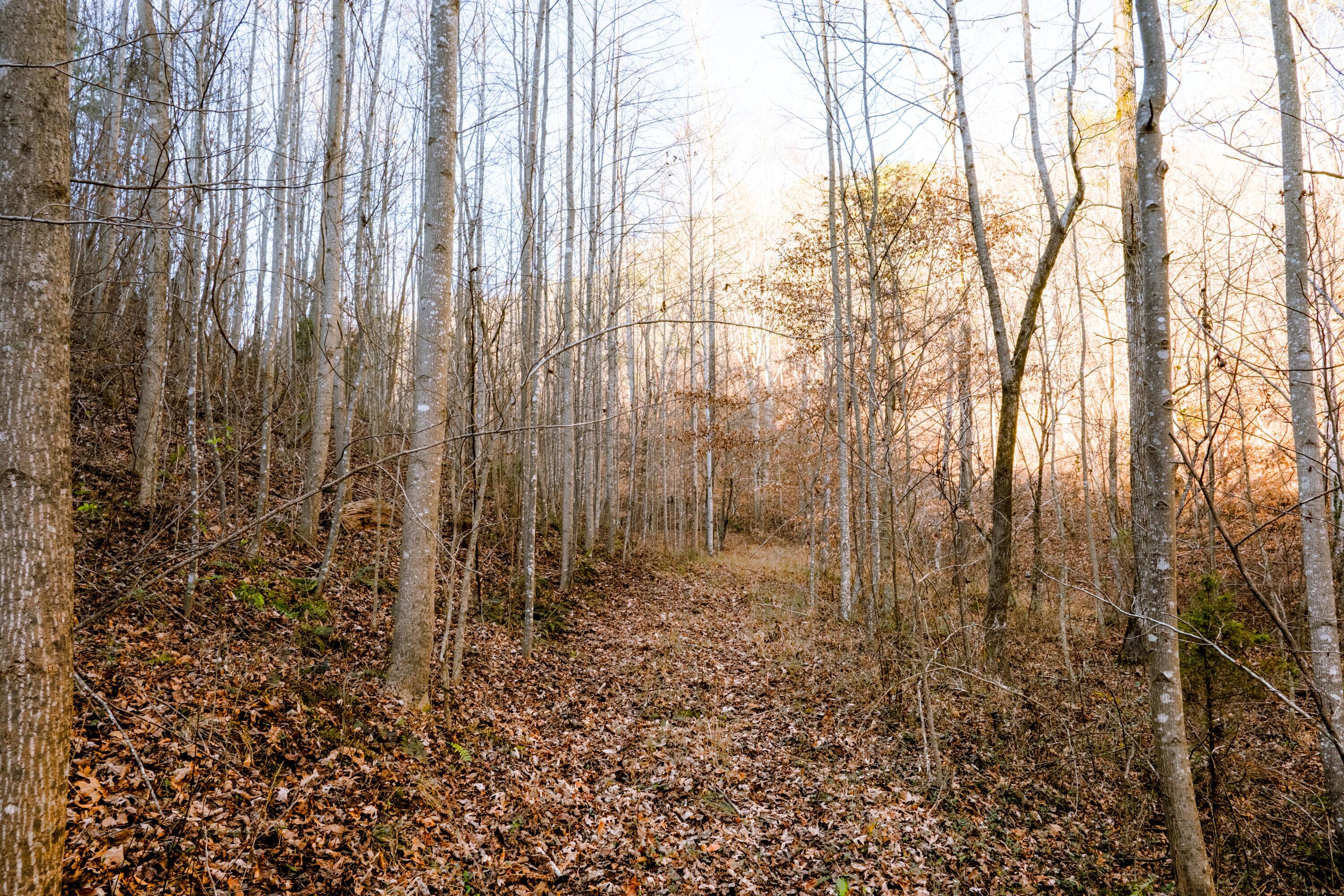 0 Floyd Springs Road Northeast Armuchee, GA 30105 - Photo 11 of 36 FSF 11